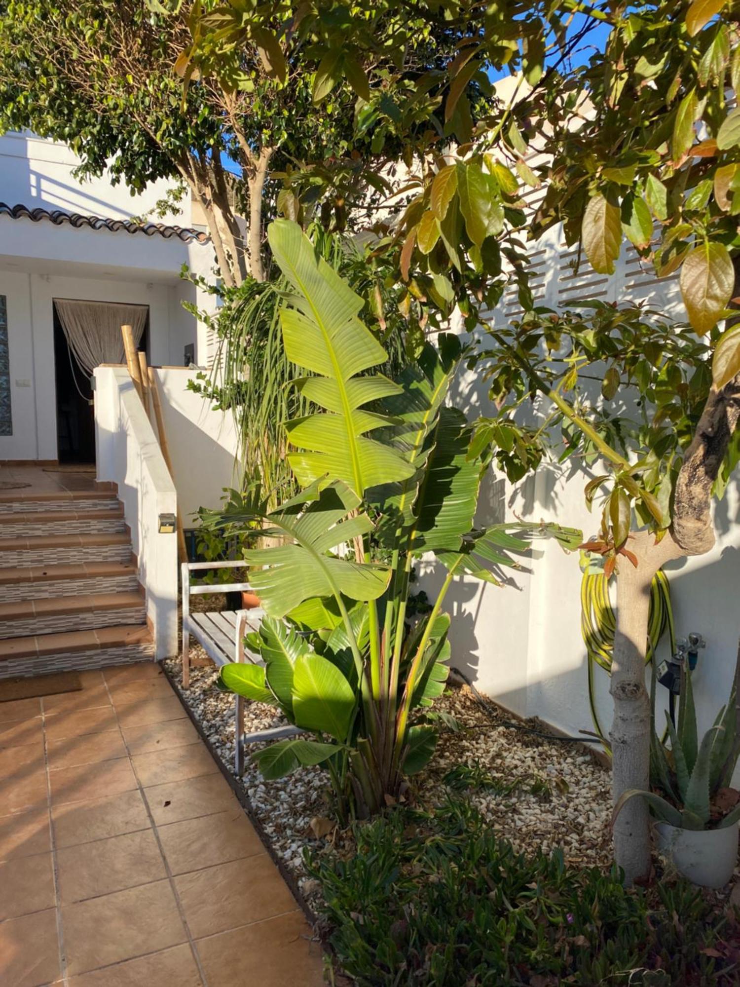 Вилла Casa Energia Del Cabo. San Jose Cabo De Gata. Экстерьер фото